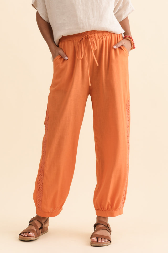 alt text|model:Brontie