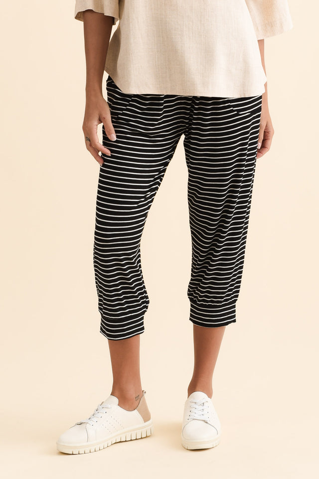 alt text|model:Brontie