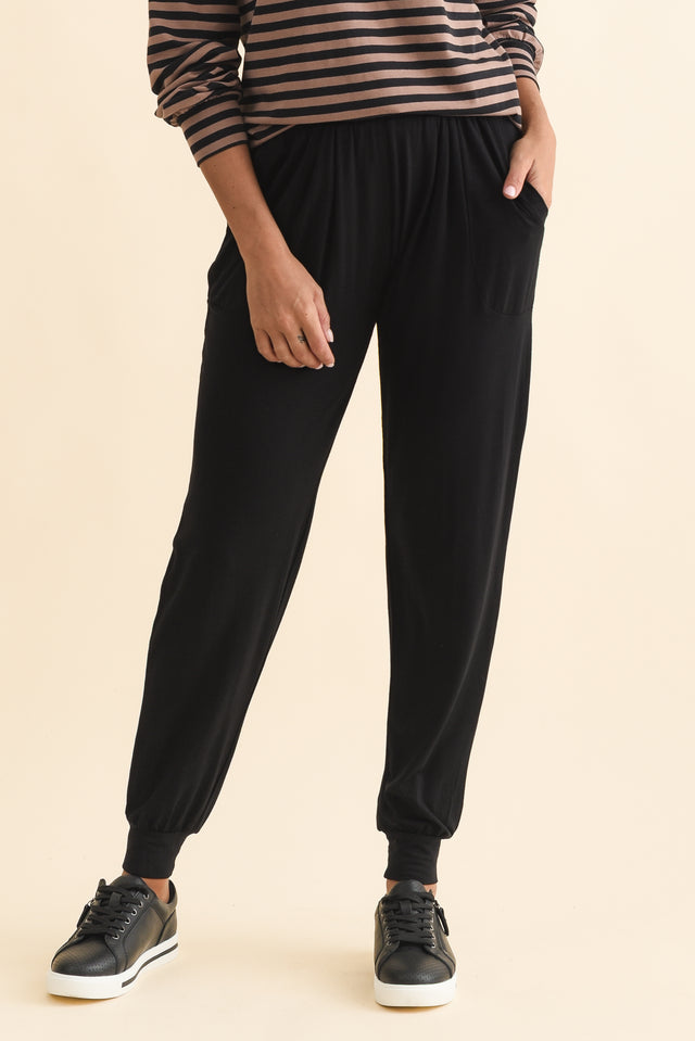 alt text|model:Brontie