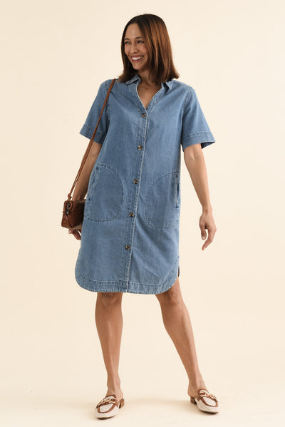 Dawson Blue Denim Button Dress