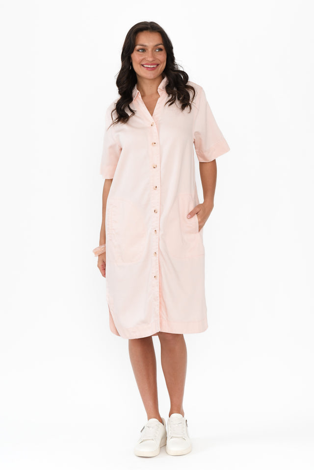 alt text|model:Brontie image 8