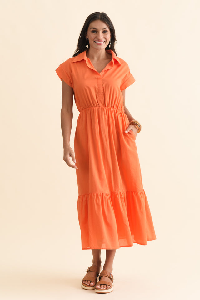 alt text|model:Brontie