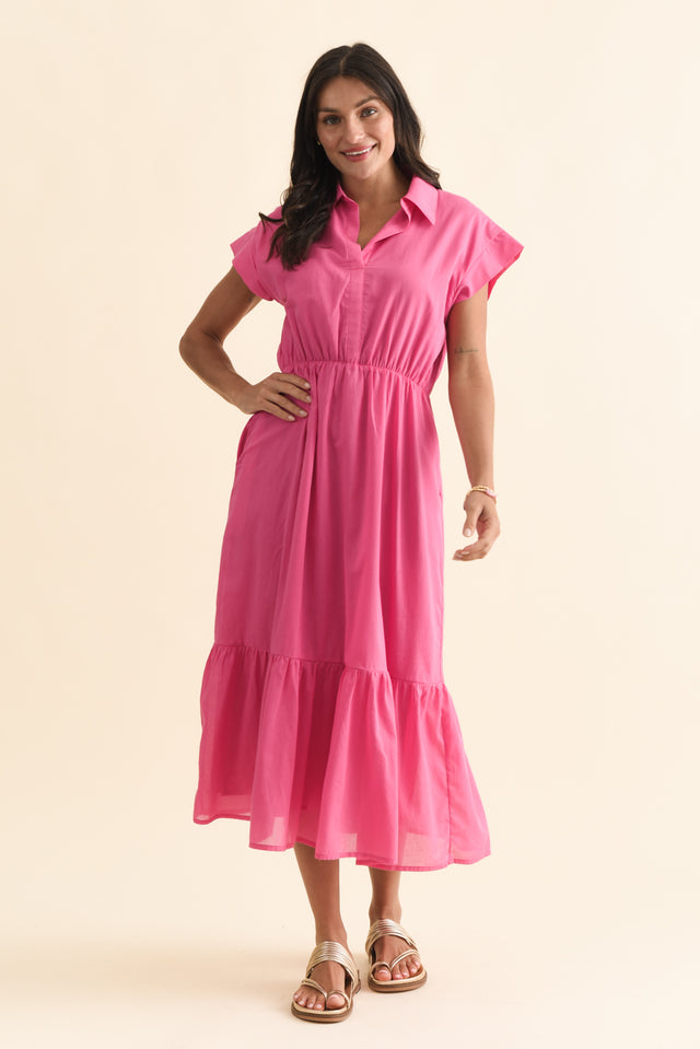 alt text|model:Brontie