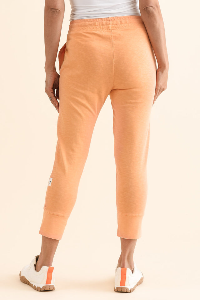 Fundamental Brunch Peach Cotton Sweatpants image 4