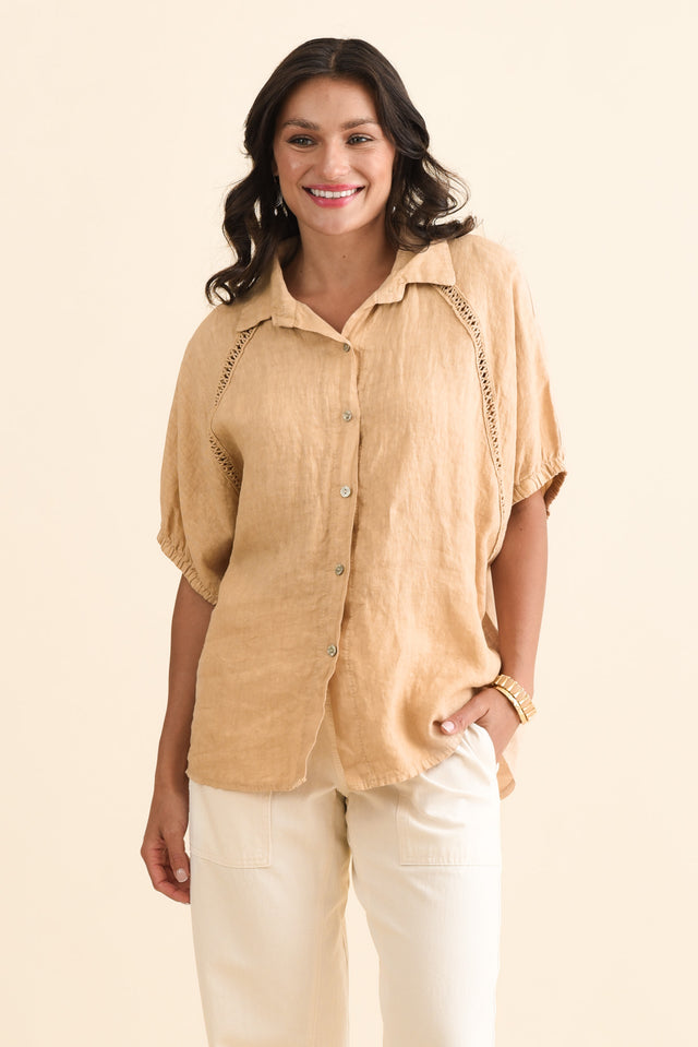 alt text|model:Brontie