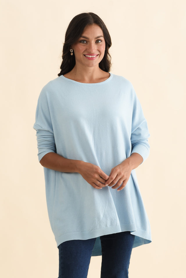 alt text|model:Brontie