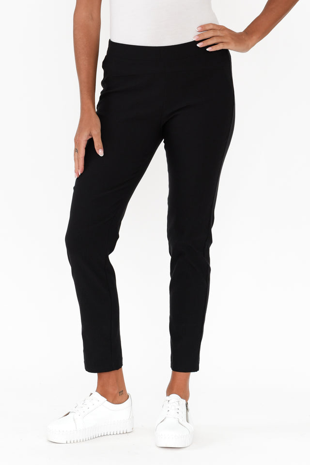 alt text|model:Brontie