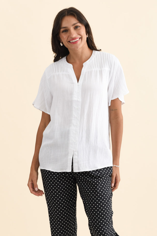 alt text|model:Brontie