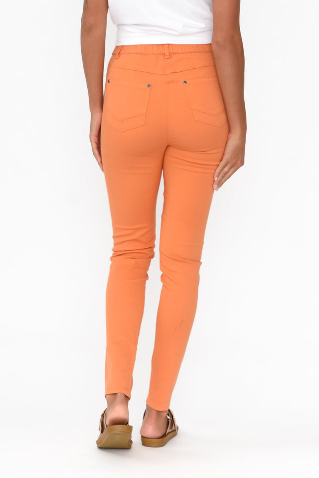 Reed Orange Stretch Cotton Pants