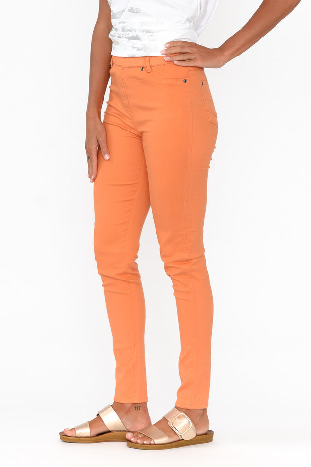 Reed Orange Stretch Cotton Pants image 4