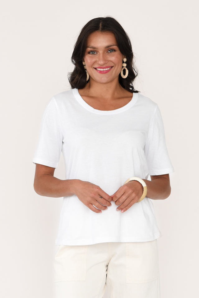 alt text|model:Brontie