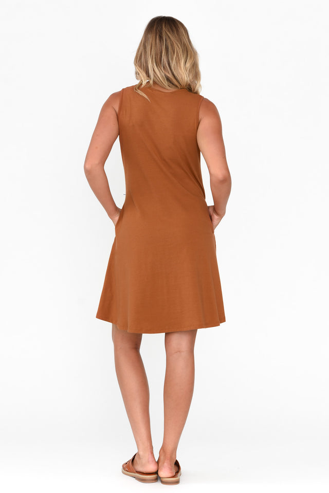 Roxanne Rust Swing Dress