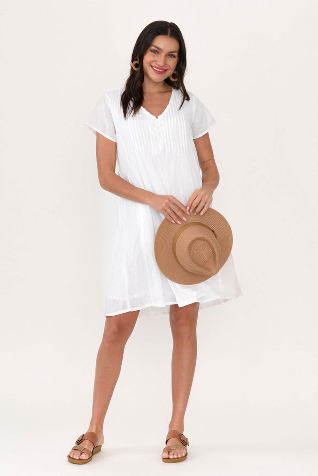 alt text|model:Brontie