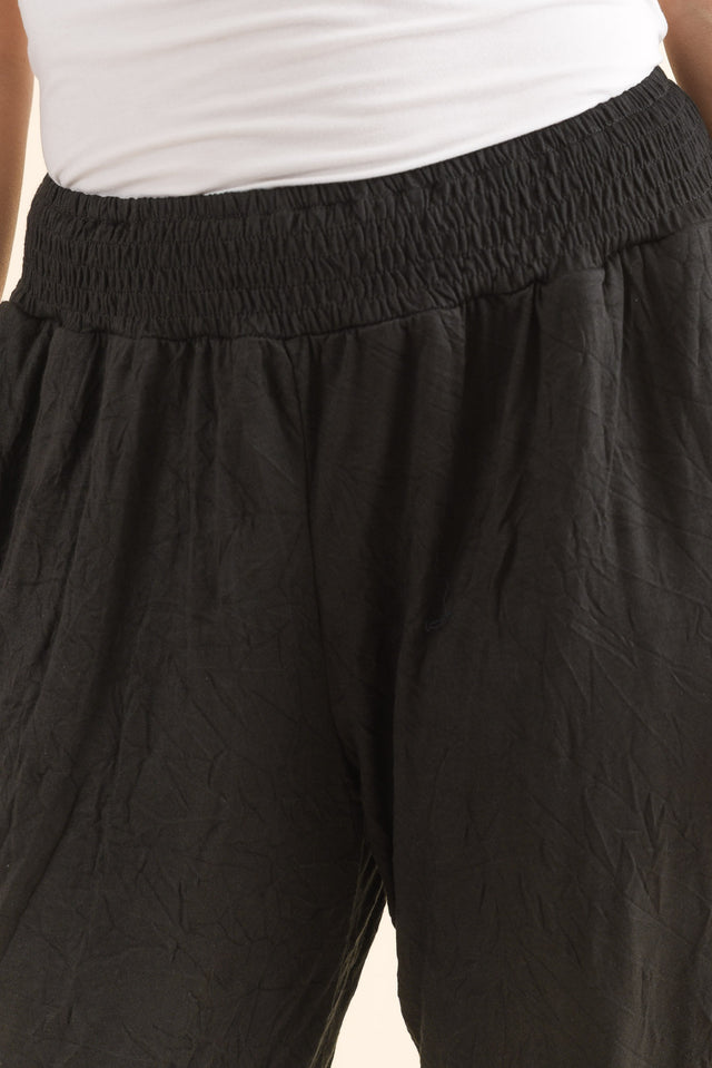 Travel No-Iron Black Cropped Pants,Detail,Brunette model,alt text|model:MJ image 5