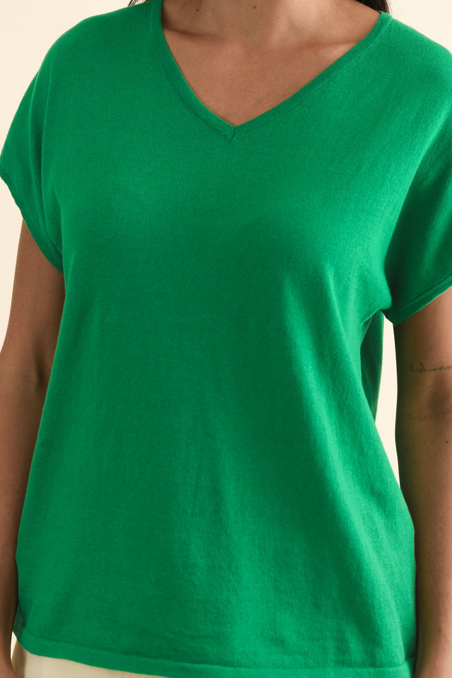 alt text|model:Brontie image 6