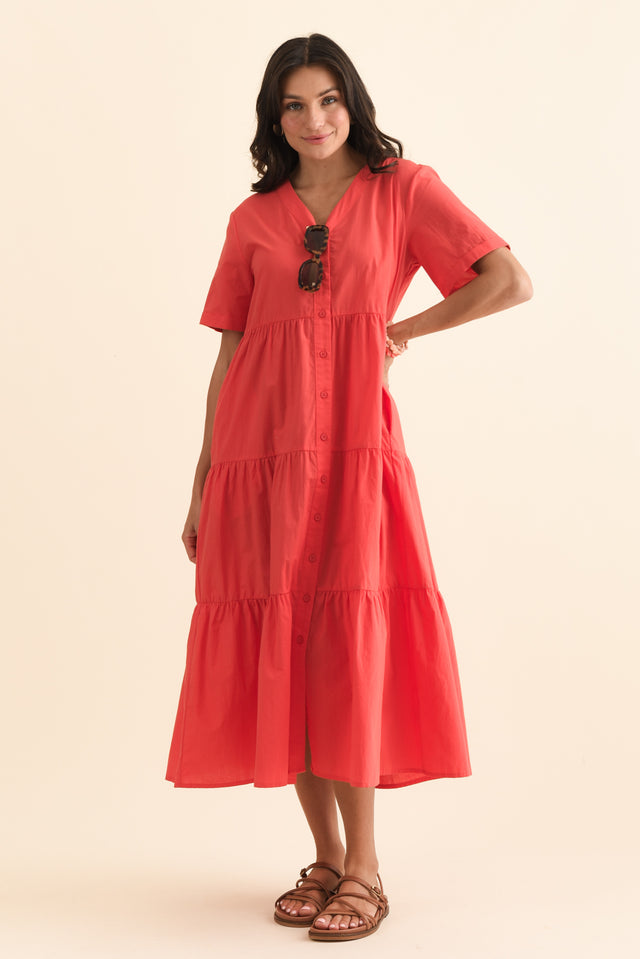 alt text|model:Brontie