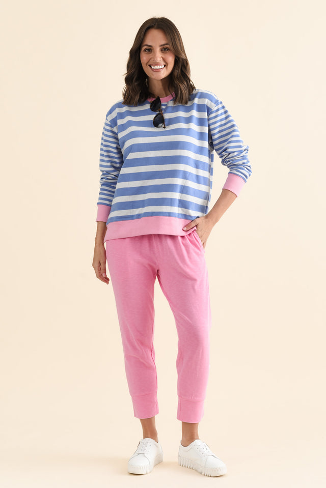 All Sorts Blue Stripe Crewneck Sweatshirt banner image