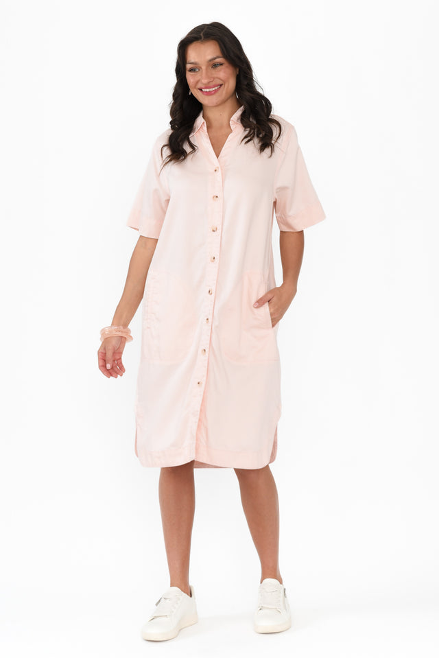 alt text|model:Brontie