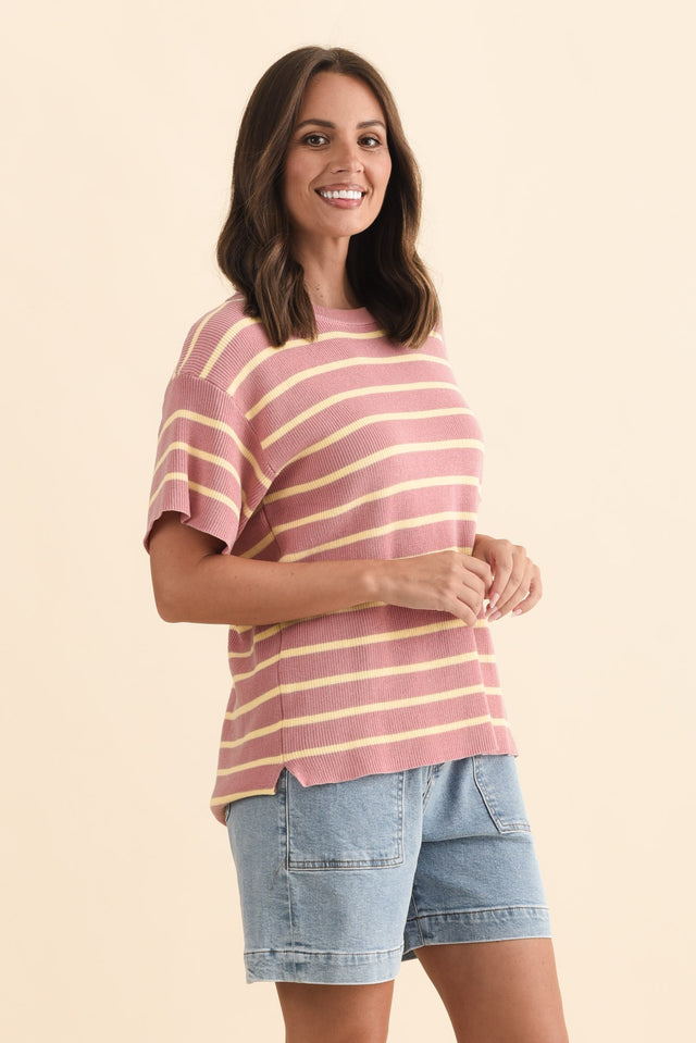 Fabian Blush Stripe Cotton Knit Top,Brunette model,alt text|model:MJ image 4