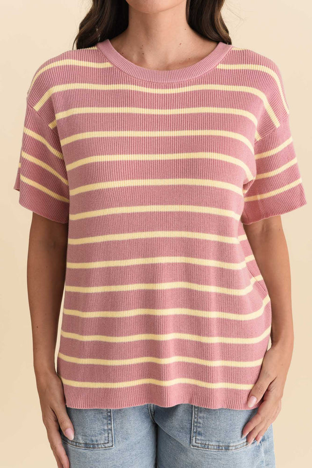 Fabian Blush Stripe Cotton Knit Top,Brunette model,alt text|model:MJ image 6