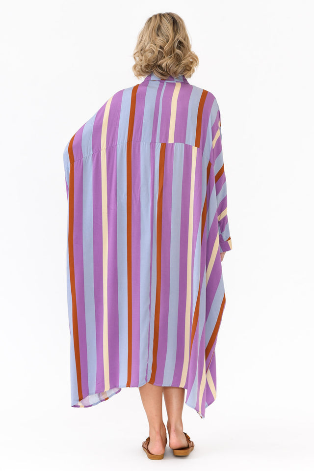 Jewel Purple Stripe Long Sleeve Shirt Dress