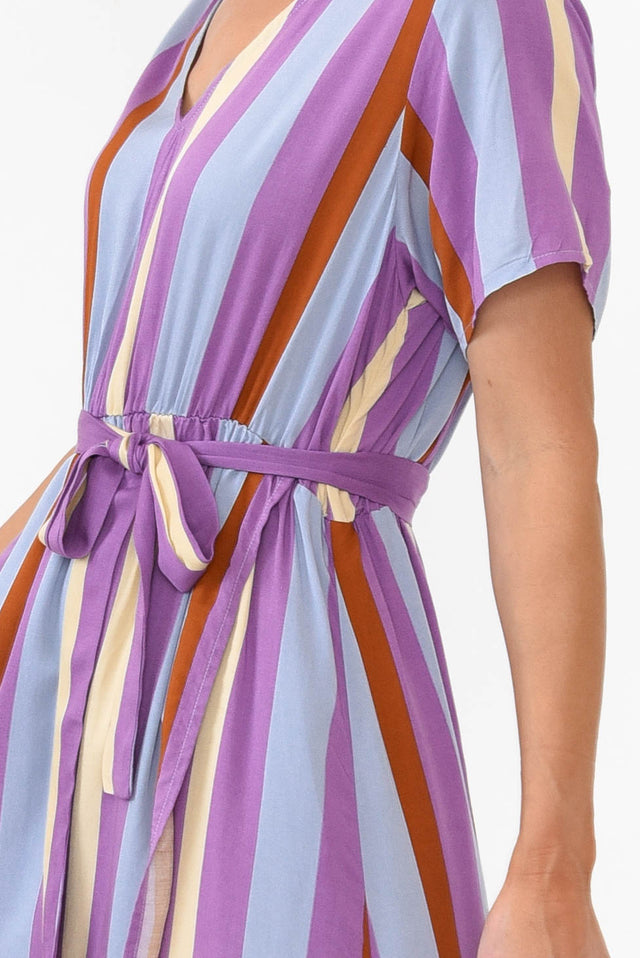 Joy Purple Stripe Elastic Waist Dress thumbnail 3