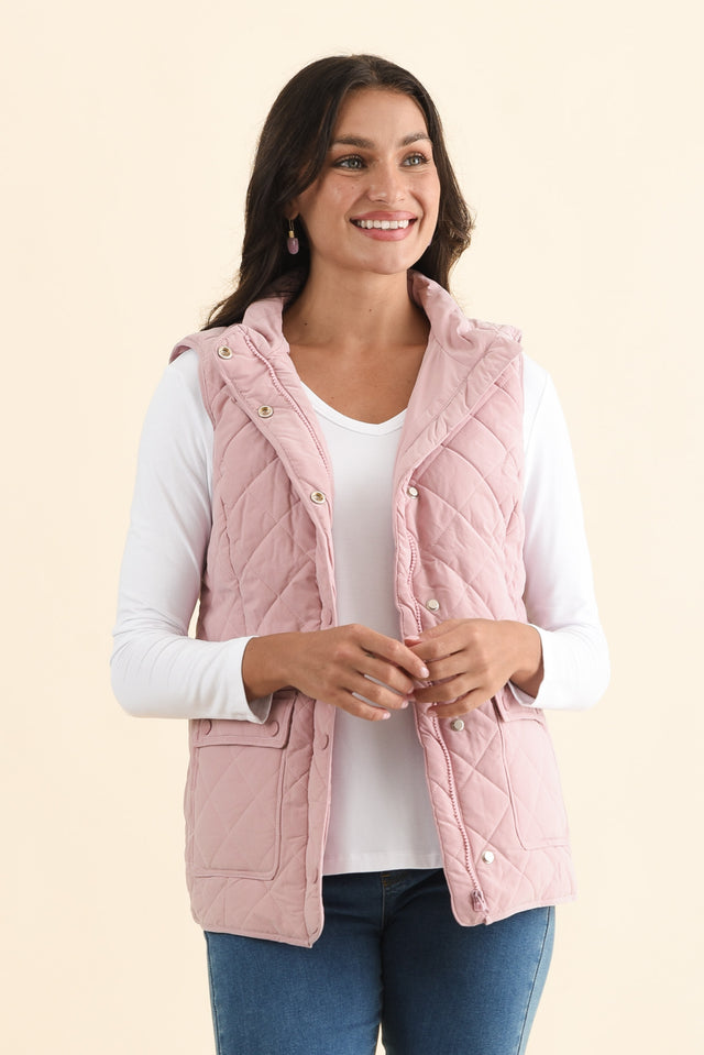 alt text|model:Brontie