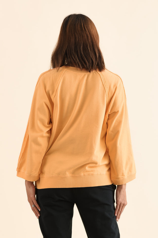 Nessa Peach Cotton Frayed Sweatshirt image 4