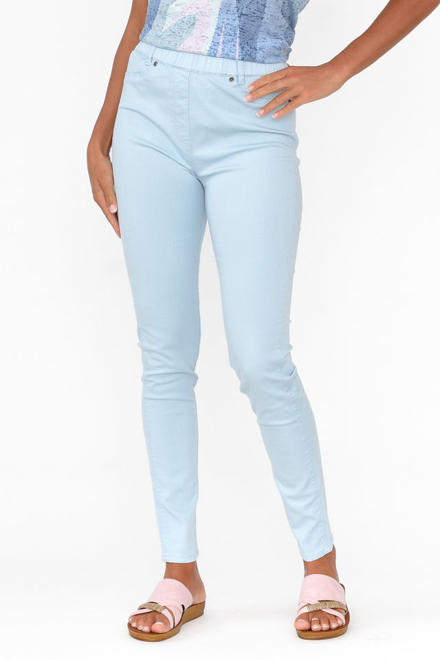 Reed Blue Stretch Cotton Pants