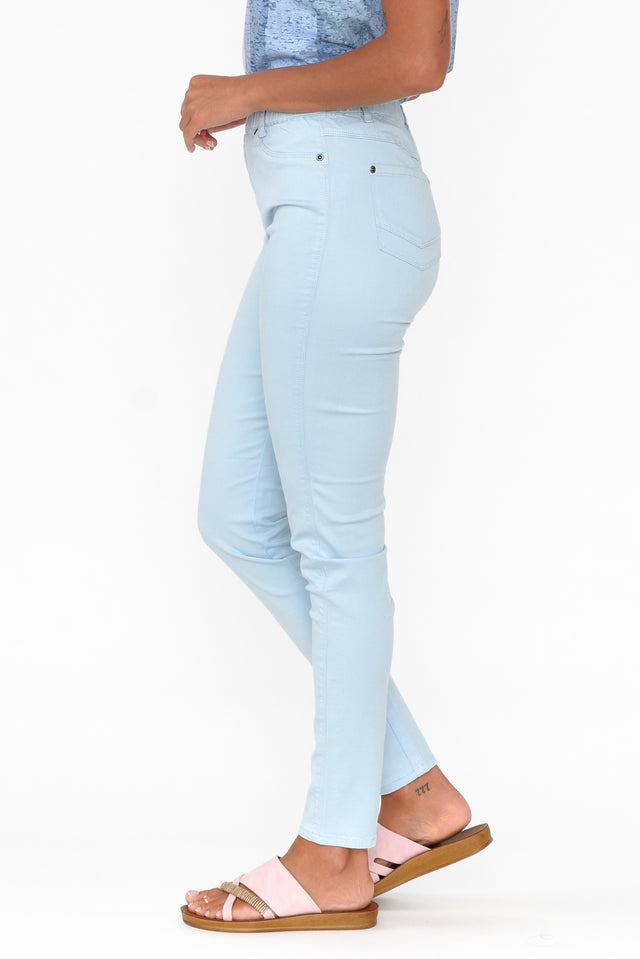 Reed Blue Stretch Cotton Pants