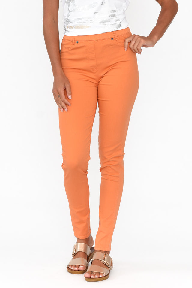 Reed Orange Stretch Cotton Pants image 1