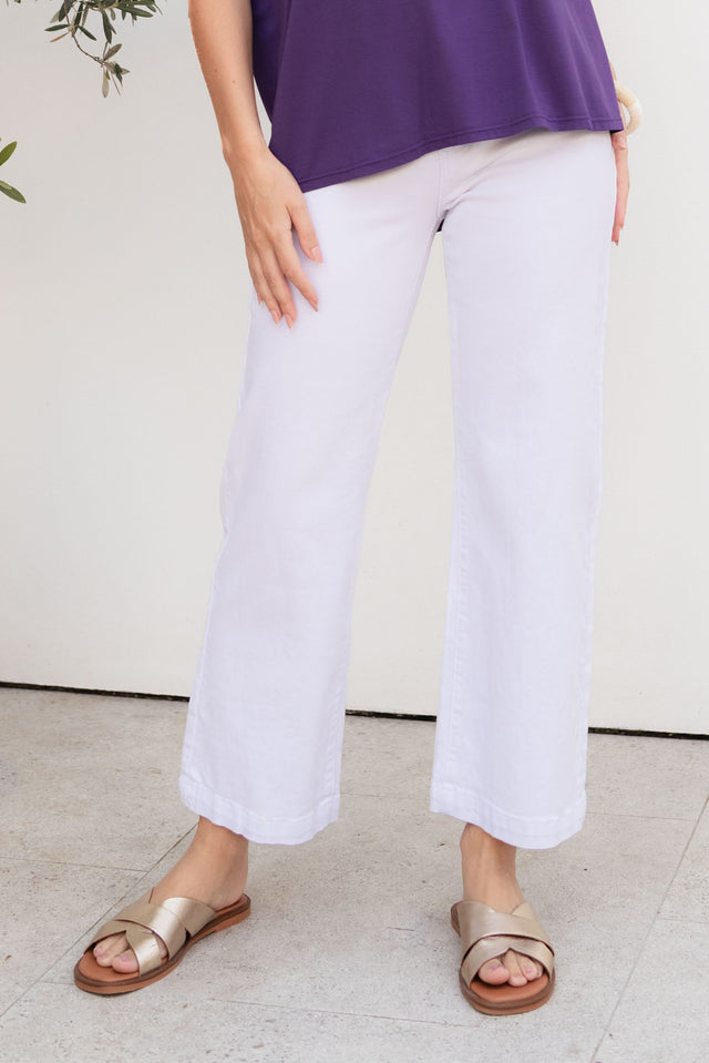 alt text|model:Brontie