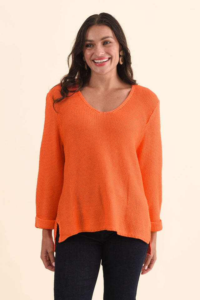 alt text|model:Brontie