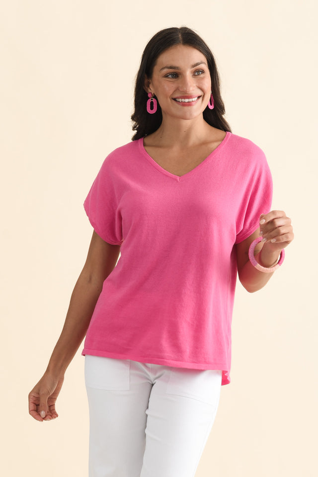 alt text|model:Brontie