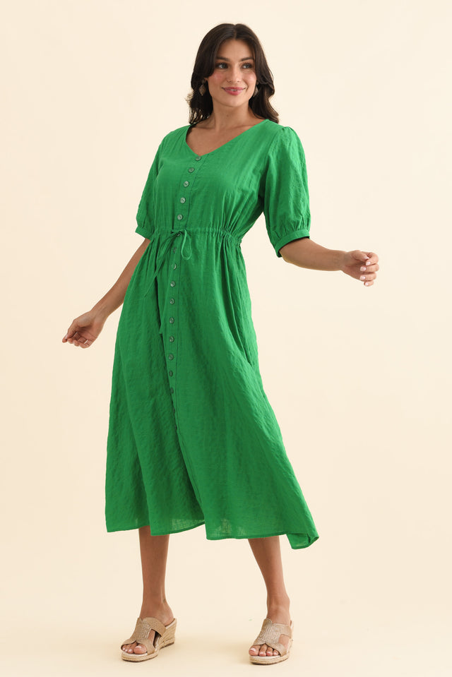 alt text|model:Brontie